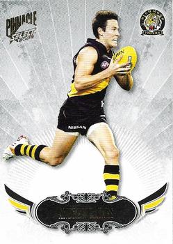 2009 Select AFL Pinnacle #145 Andrew Raines Front